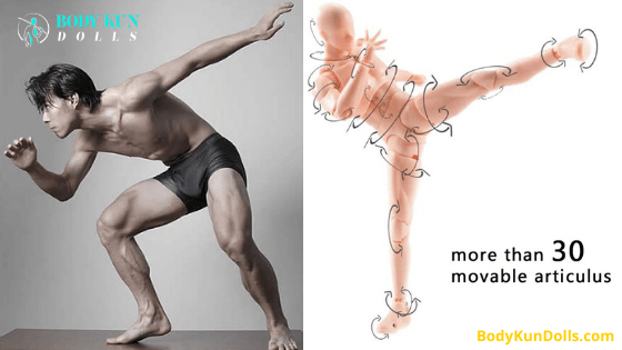 15 Best Figure Drawing References in 2026 (Free and Paid) - Body Kun Dolls
