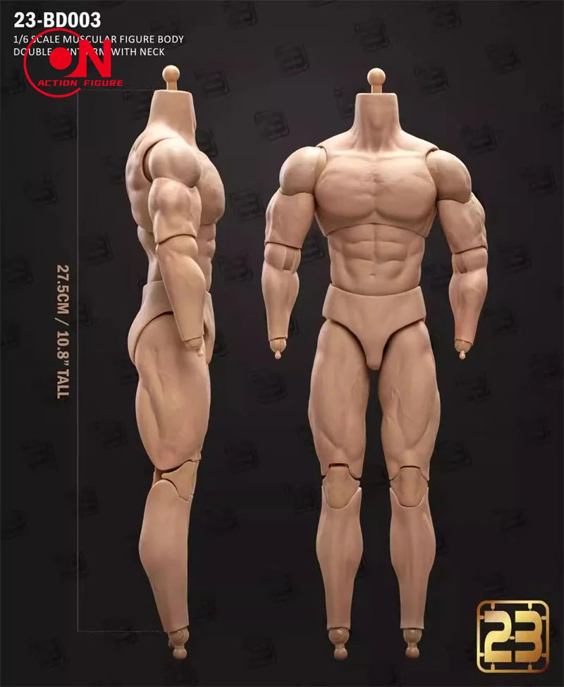 1/6 scale male muscle joint articulated action figure body