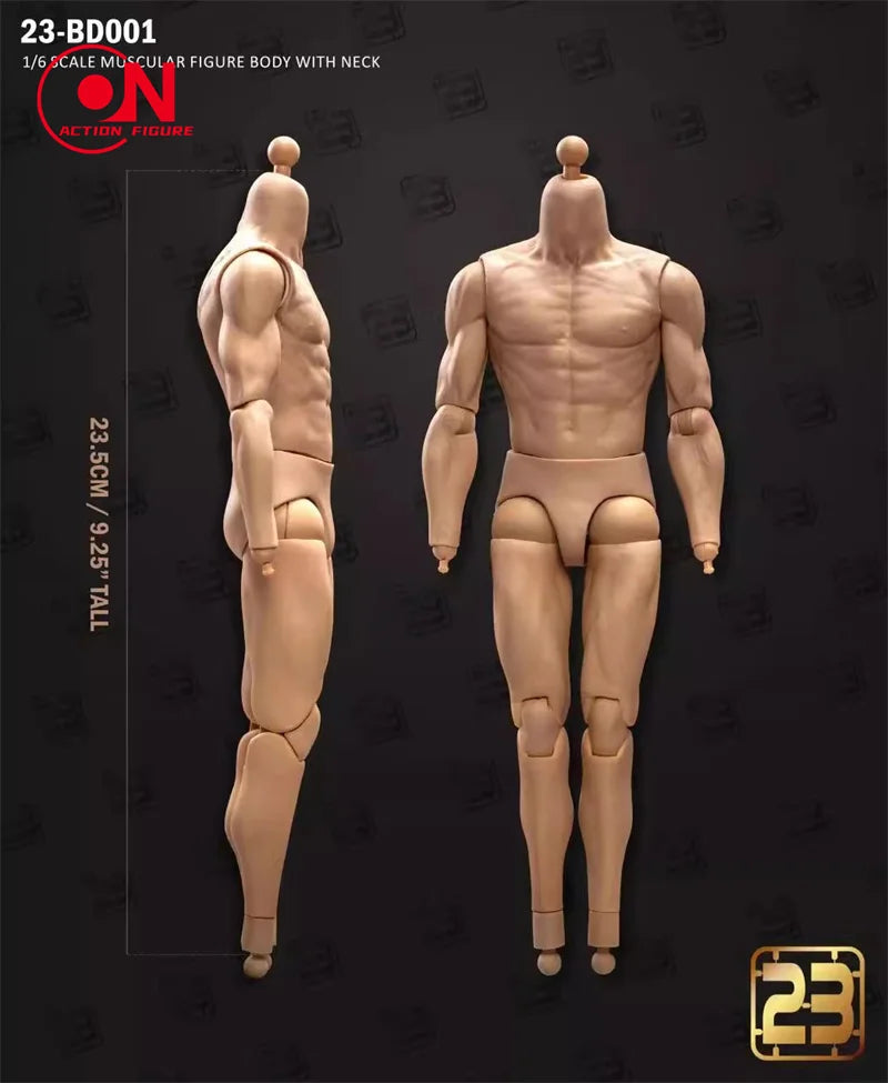 1/6 scale male muscle joint articulated action figure body