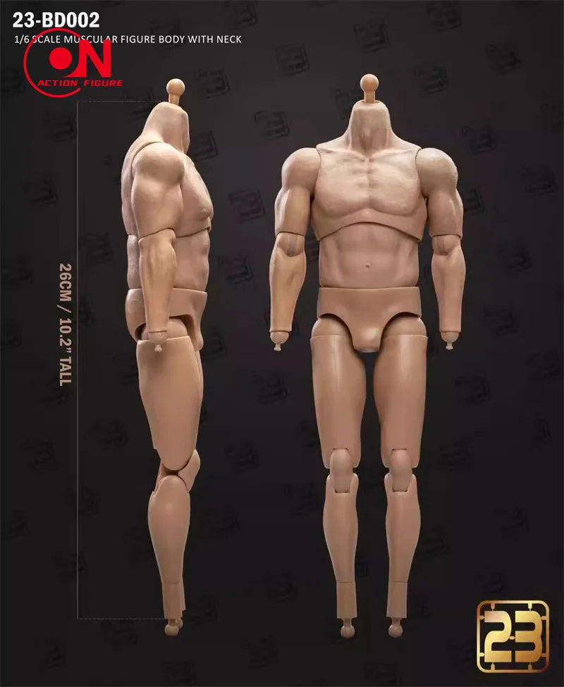 1/6 scale male muscle joint articulated action figure body