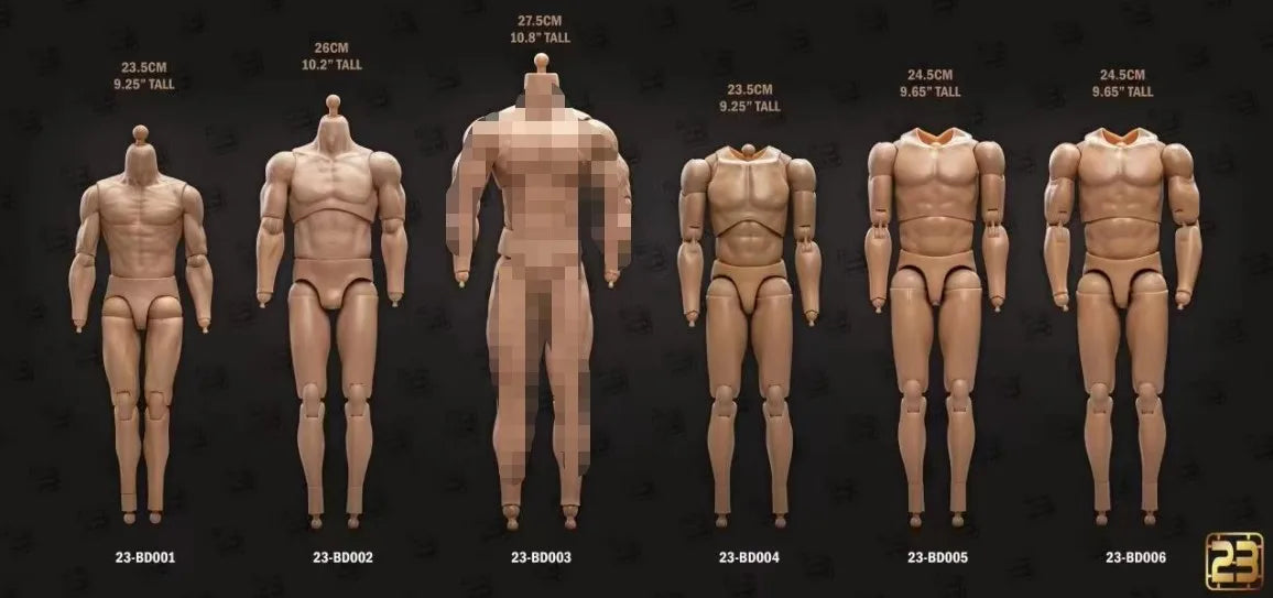 1/6 scale male muscle joint articulated action figure body