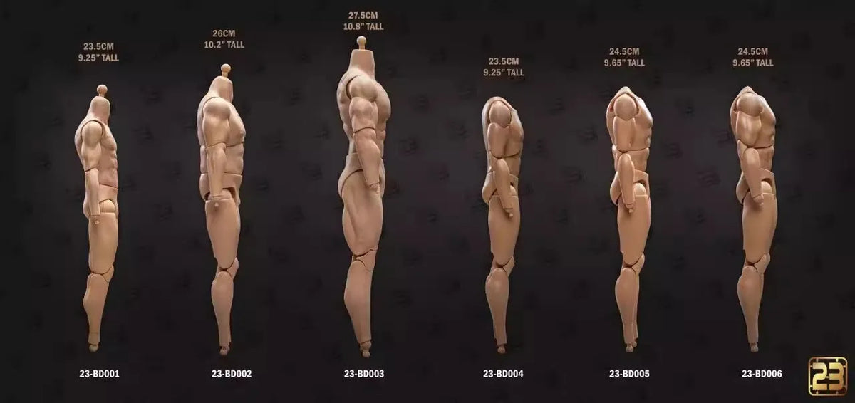 1/6 scale male muscle joint articulated action figure body