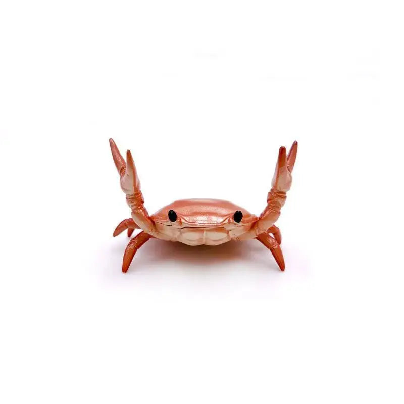 Funny crab pen holder desktop stationery organizer