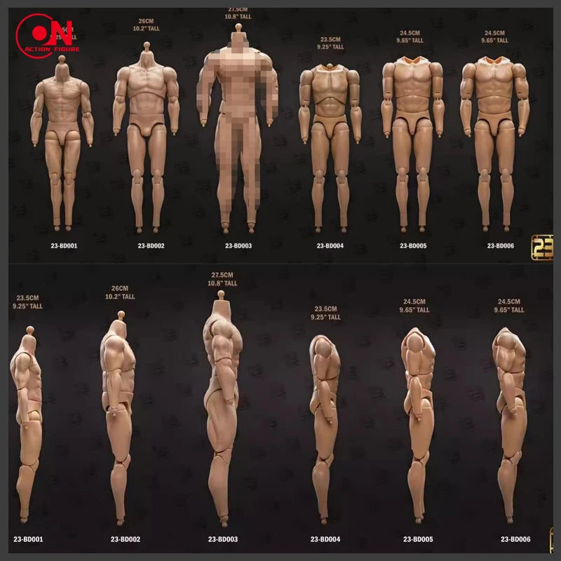 1/6 scale male muscle joint articulated action figure body