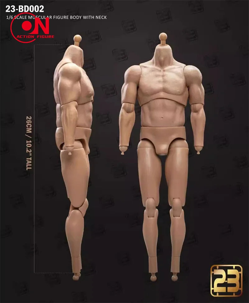 1/6 scale male muscle joint articulated action figure body