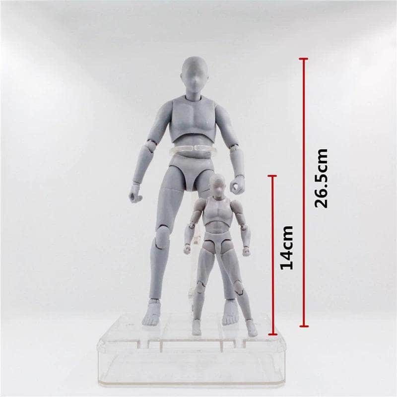 1/6 Scale Body kun + Body chan - 2in1 Pack - Body Kun Dolls