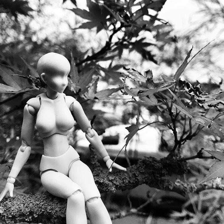 Body Chan Drawing Figure - Grey - Body Kun Dolls