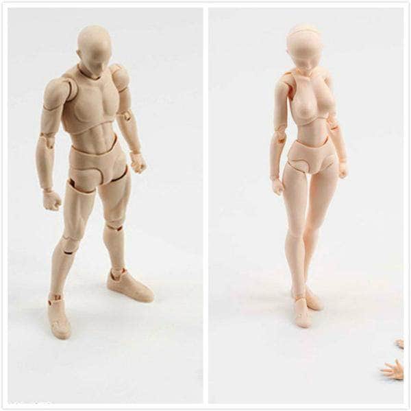 Body Chan Female Drawing Figures - Body Kun Dolls